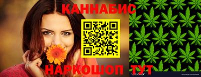 индика Тулун