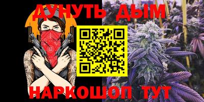 индика Тулун