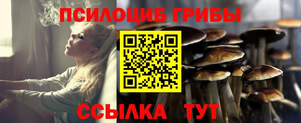 сколько стоит  Псилоцибиновые грибы MAGIC MUSHROOMS  Вход с VPN  Воскресенск 